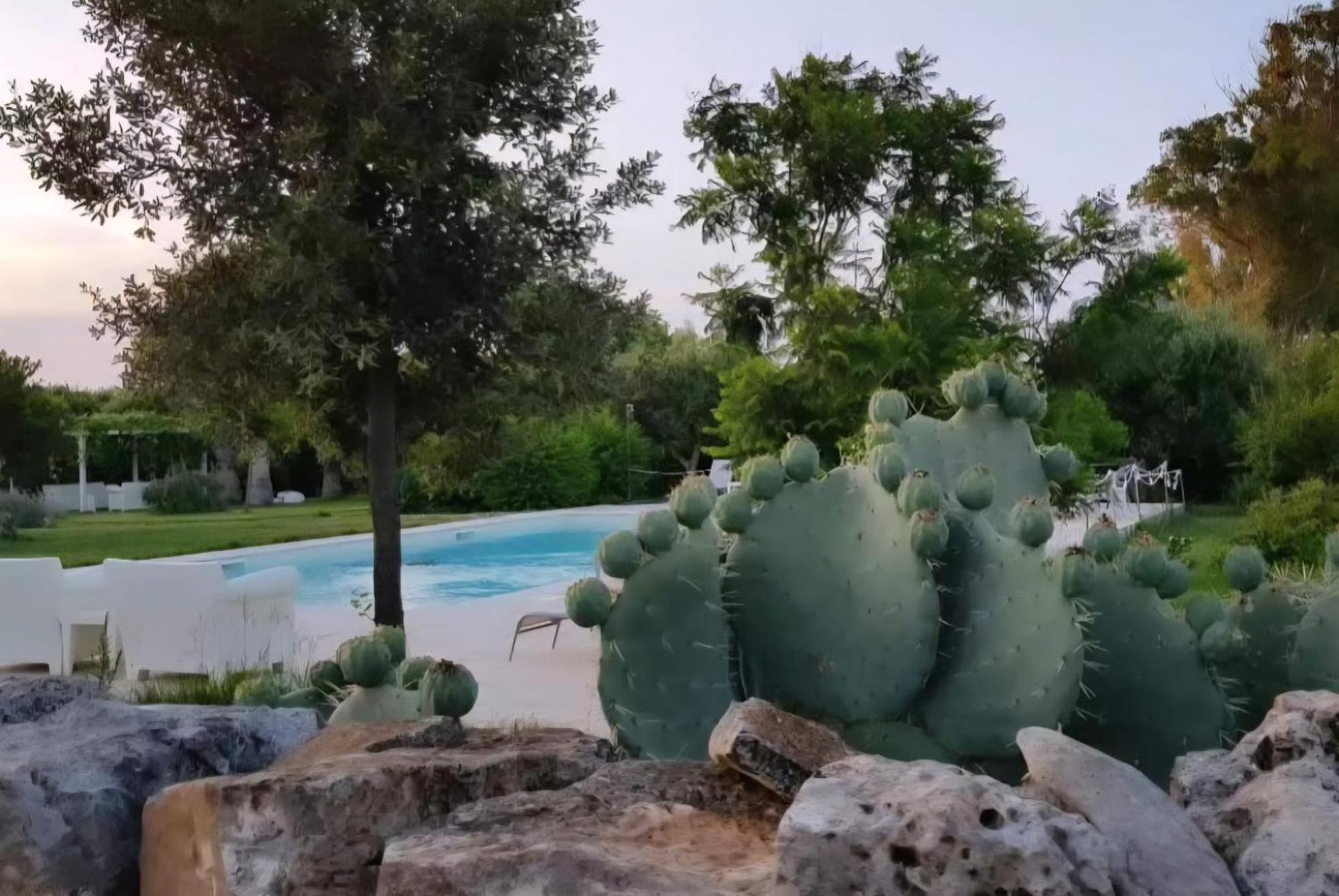 Bed and Breakfast Masseria Boezio Ostuni Torre Santa Sabina Exterior foto